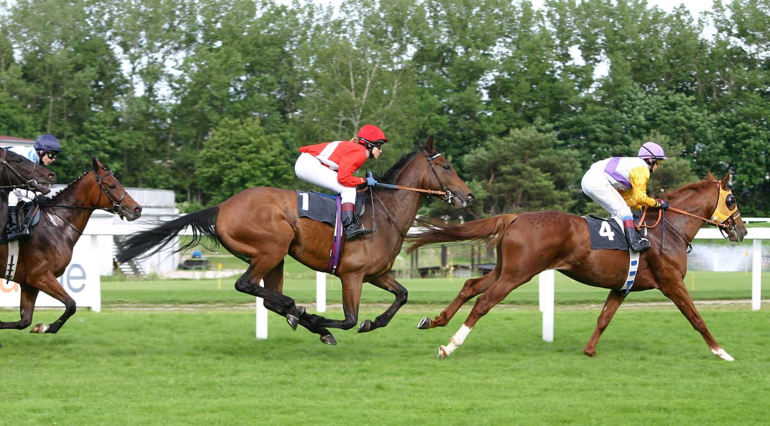 Racing Tips: Andrew Mount’s Spreadex Analysis – Wednesday, October 30th – Sportscasting UK