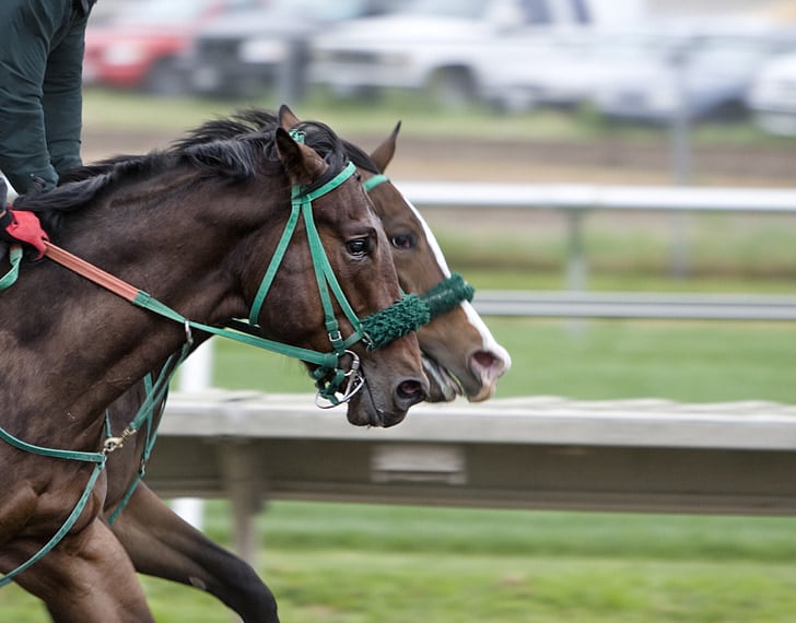 Racing Tips: Andrew Mount’s Spreadex Analysis – Thursday, October 24th – Sportscasting UK