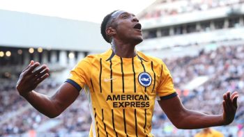 Brighton fulham preview