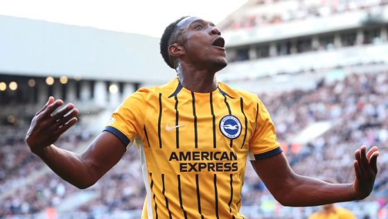 Fulham Brighton Preview