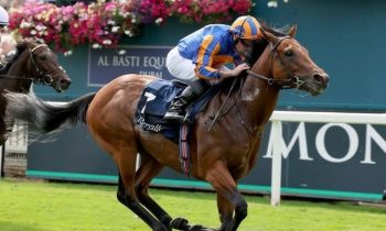 The Lion In Winter: Dante Stakes Fancy