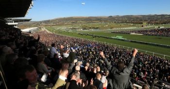 Cheltenham Festival Attendance