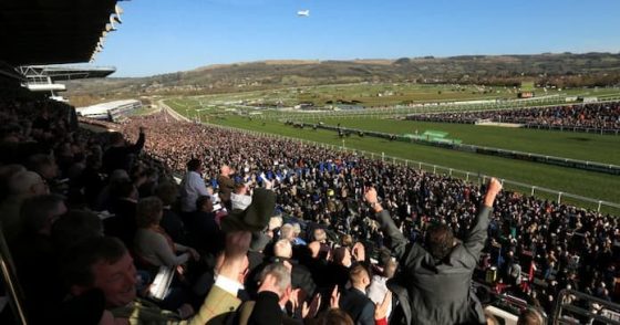 Cheltenham Festival Attendance
