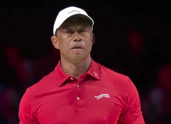 Tiger Woods TGL