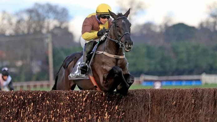 Punchestown Gold Cup Trends