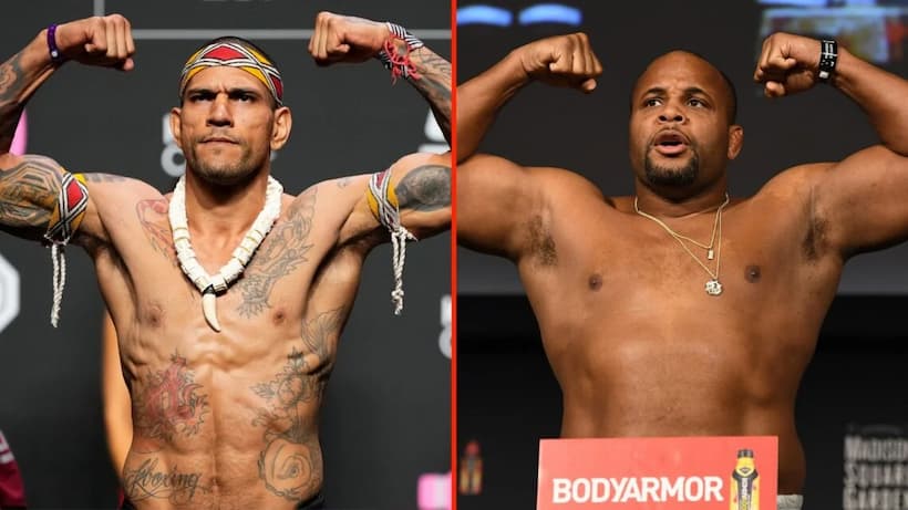 Alex Pereira Daniel Cormier - UFC