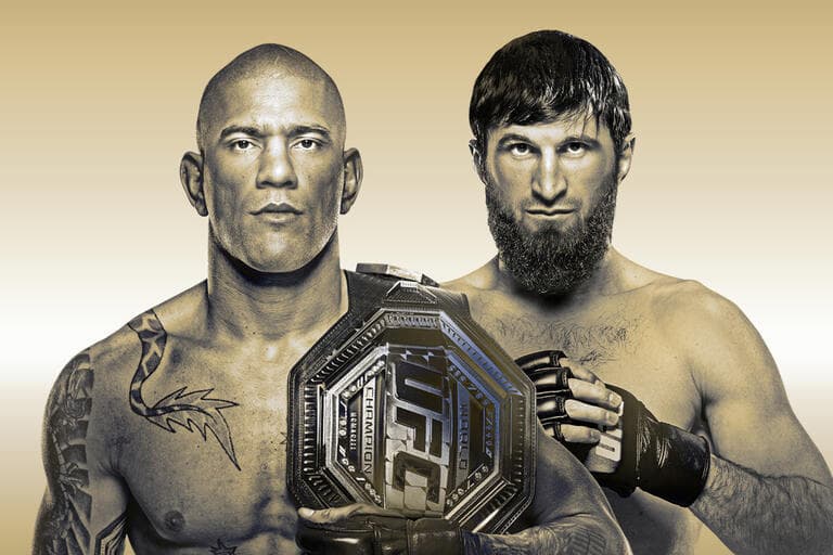 Alex Pereira vs Magomed Ankalaev - UFC 313