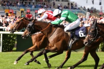 Doncaster Races