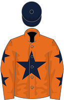 Bravemansgame silks
