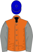 Scottish Grand National Runners - Captain Cody silks