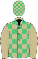 Celebre D'Allen silks