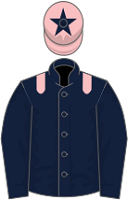 Scottish Grand National Runners - Chosen Witness silks