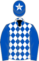 Duffle Coat silks