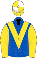 Flash De Touzaine silks
