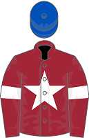 Gigginstown House stud blue cap