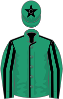 Hewick silks