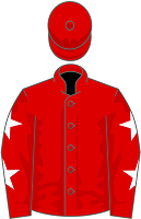 Hitman silks