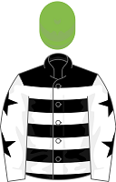 Hyland silks