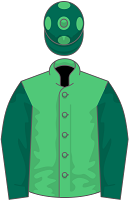 Intense Raffles silks