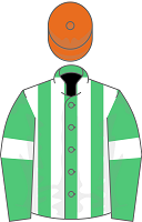 Scottish Grand National Runners - Macdermott silks