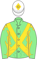 Scottish Grand National Runners - Mr Incredible silks
