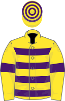 Scottish Grand National Runners - Sail Away silks