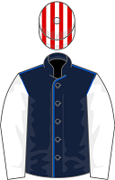 Shakem Up'Arry silks
