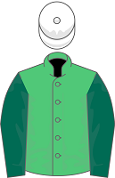 Batman Girac silks