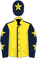 Scottish Grand National Runners- Surrey Quest silks