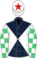 Scottish Grand National Runners - Our Power silks