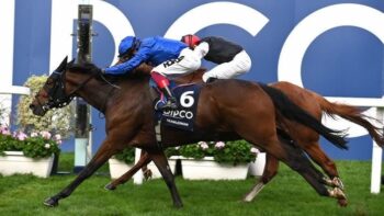 Trawlerman - Ascot Gold Cup