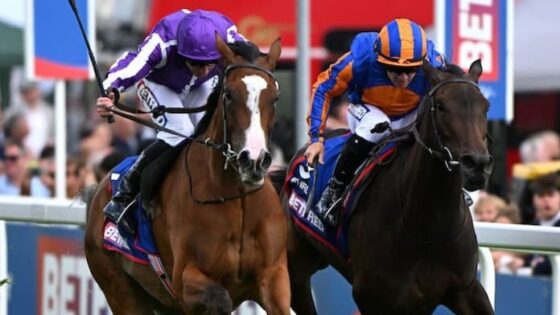 Minnie Hauk Irish Oaks Favourite