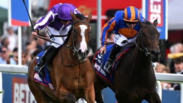 Minnie Hauk Irish Oaks Favourite
