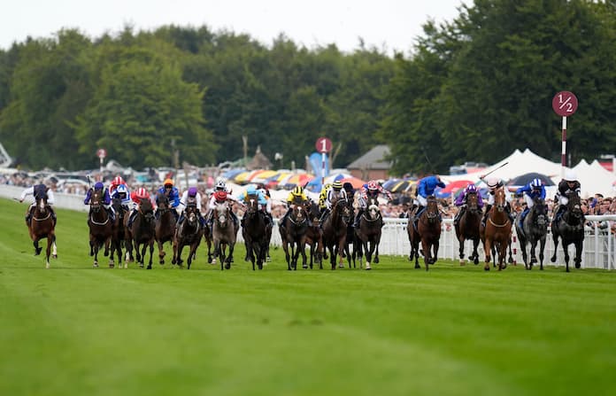 Stewards' Cup 2025