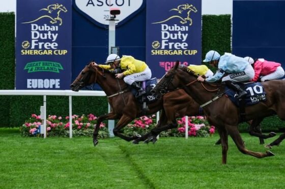 Ascot Shergar Cup 2025