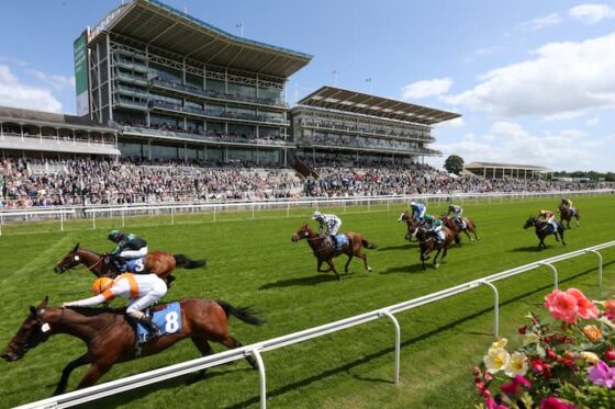 York Horse Racing Tips