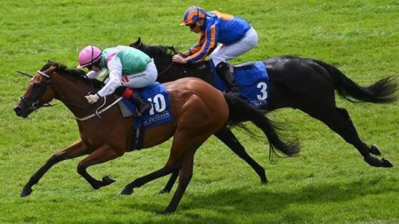 Curragh Horse Racing Tips