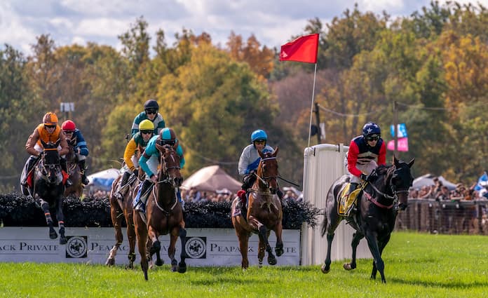 American Grand National Runners 2025