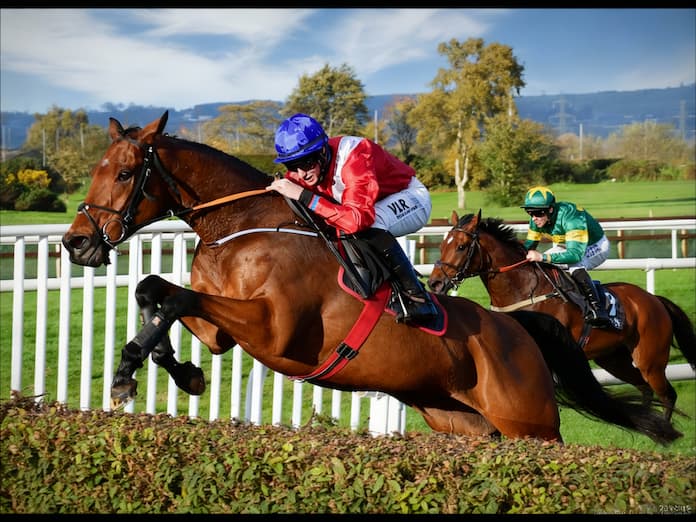 Can Envoi Allen Win The Champion Chase at Down Royal For A Third Time?