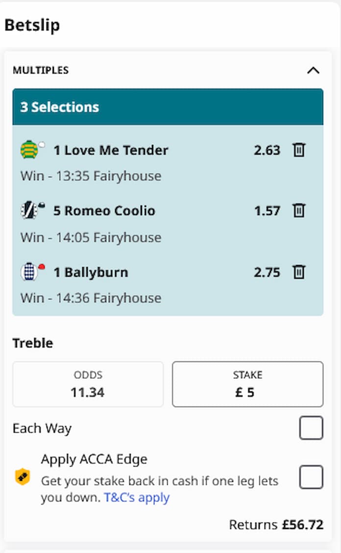 Fairyhouse Betslip