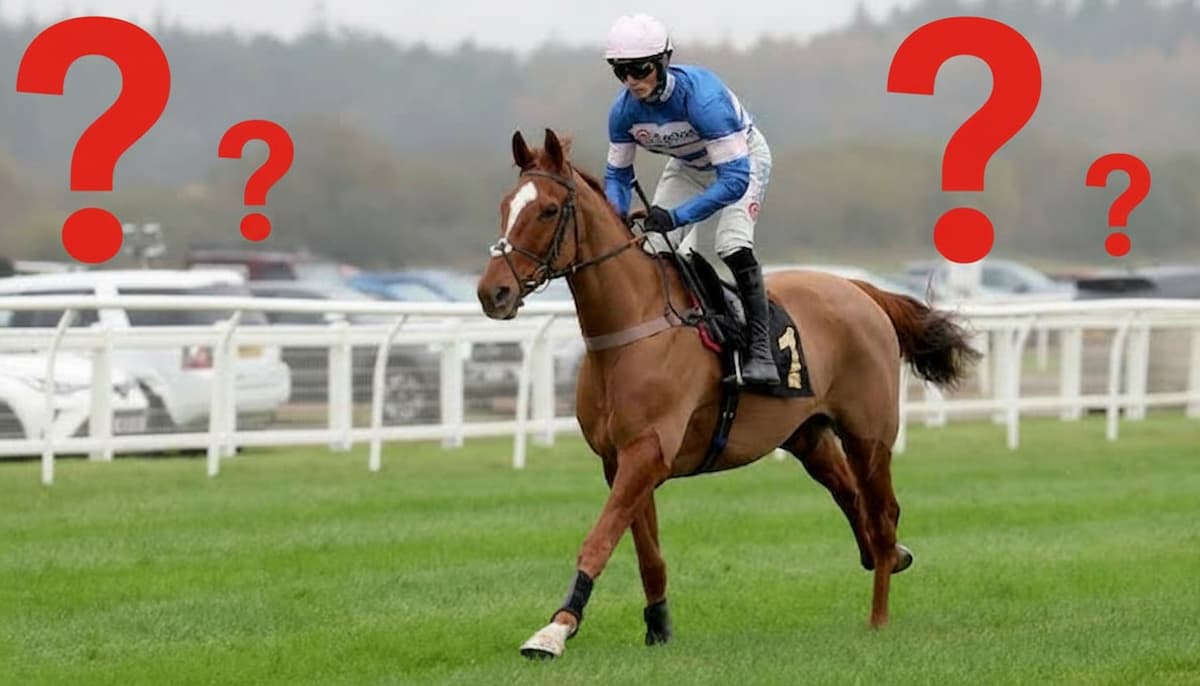 Horse Racing Walkovers: Rules, Betting and What Happens?