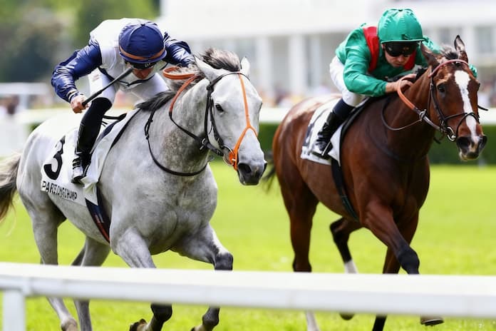 Presage Nocturne Won't Mind The Softer Conditions