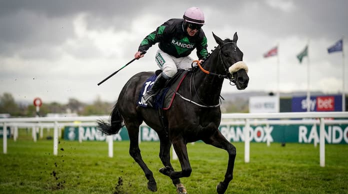 Strong Leader Looking To Win The Long Distance Hurdle For A Second Year