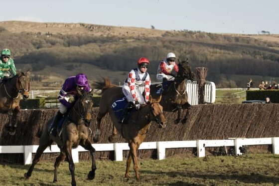 December Gold Cup 2025 Runners and Betting Odds