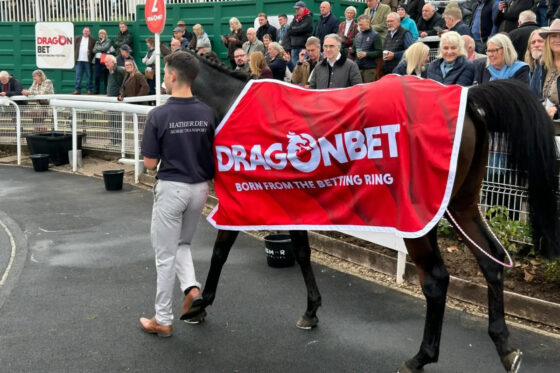 DragonBet