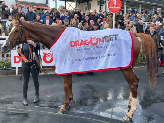 DragonBet