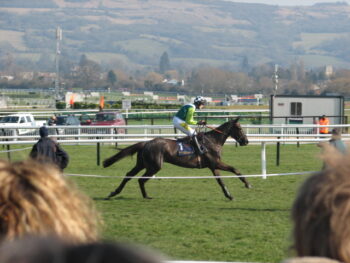 Cheltenham Festival St.Patrick’s Thursday 2026 Betting Tips: What AI Models Gemini, Grok and Claude Are Backing Today
