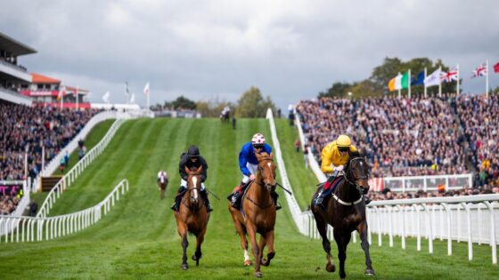 Cheltenham Gold Cup Odds 2026: Gaelic Warrior Heads Wide-Open Market