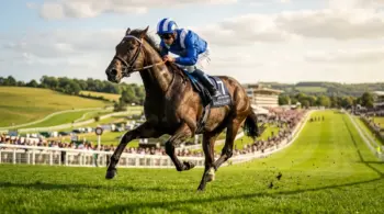 Thoroughbred racehorse galloping on Epsom Downs track in blue and white racing silks