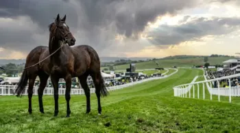 Thoroughbred racehorse on Epsom Downs racecourse with dramatic sky for Derby racing coverage